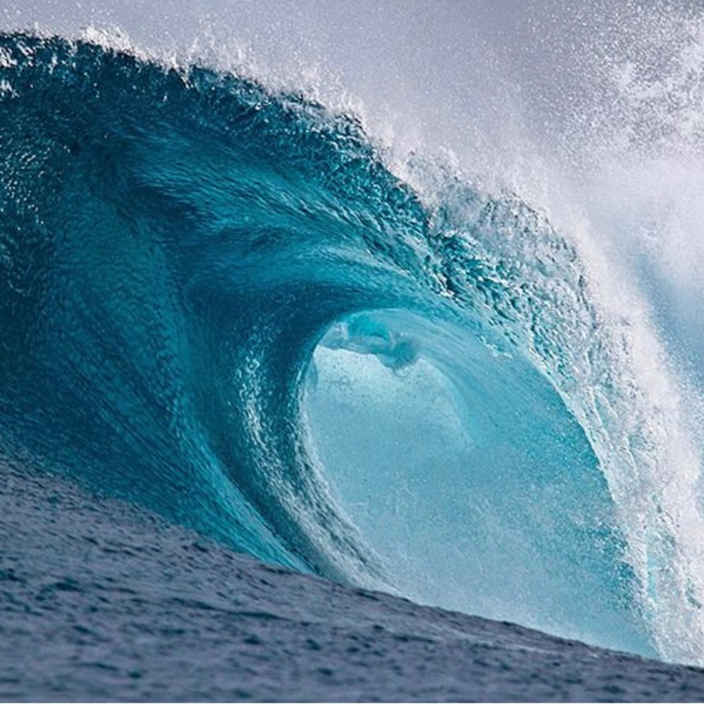 Meet your Posher, OCEAN